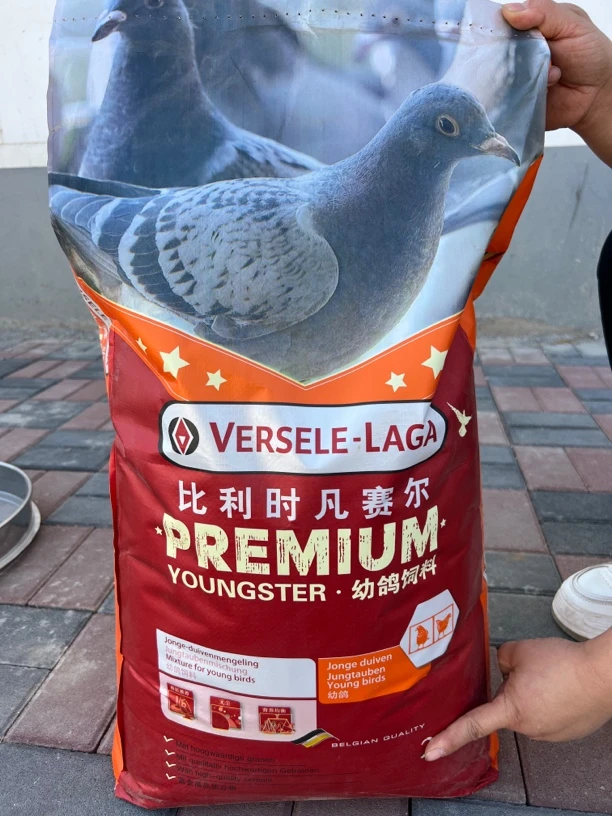比利时凡赛尔专业无玉米幼鸽鸽粮