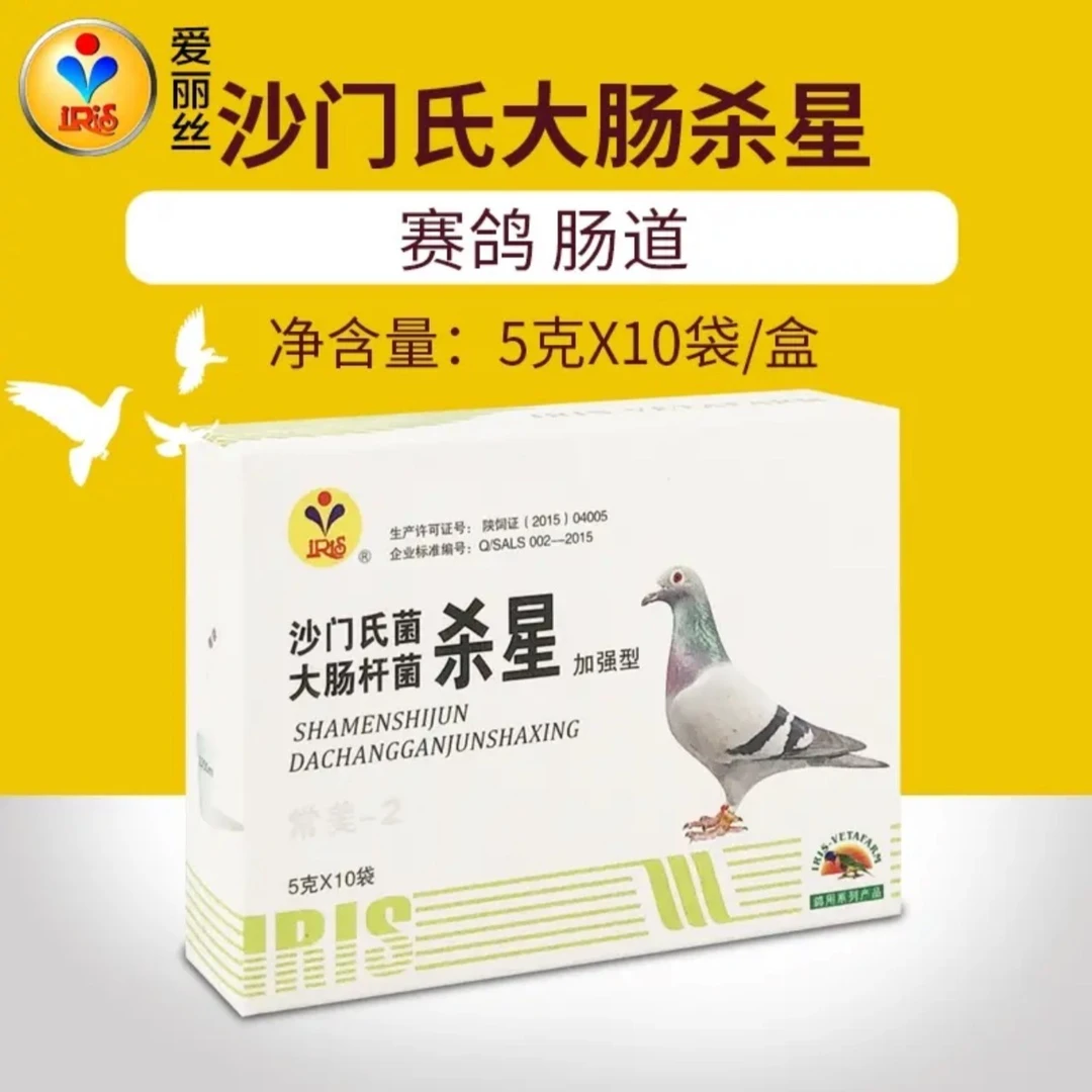 爱丽丝沙门大肠Sha星5gX10包赛鸽水绿便鸽子伤寒拉水用品