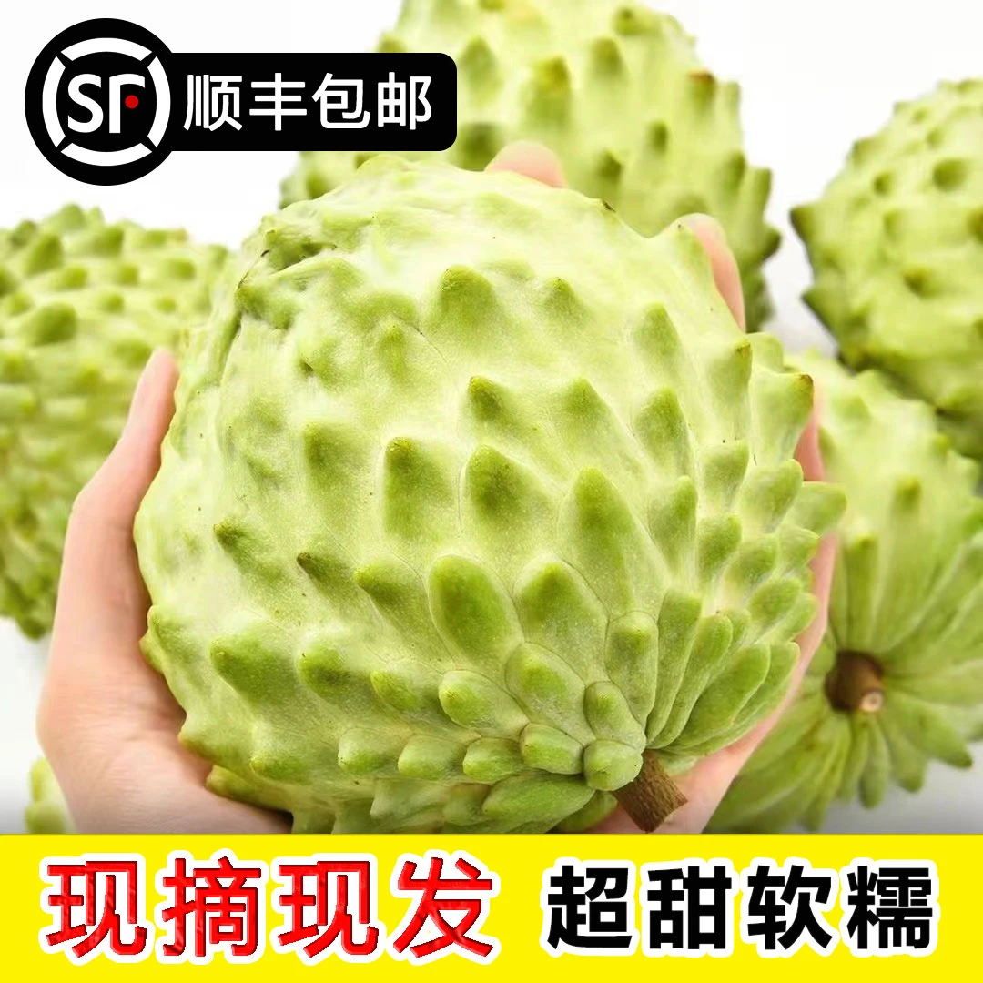 A【顺丰包邮】云南释迦果 牛奶凤梨释迦 新鲜水果当季现摘佛头果