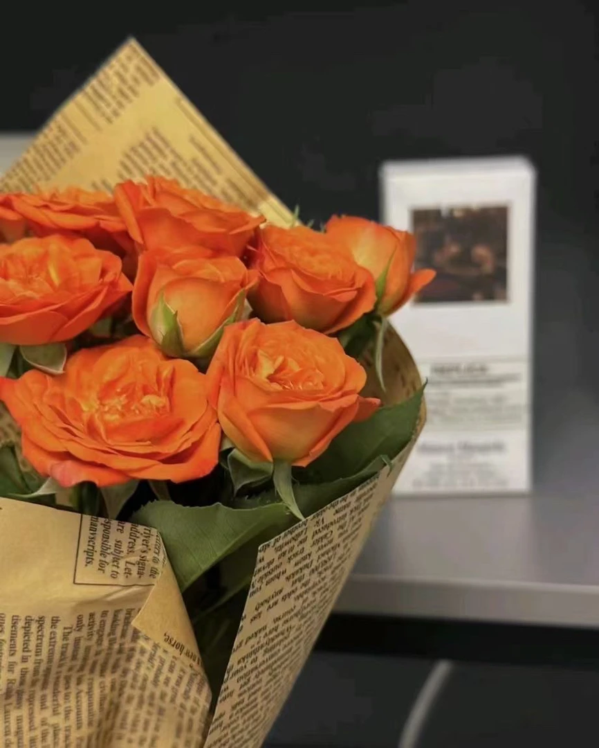 ［文静福利裤］新款高品质断码卫裤打底裤女