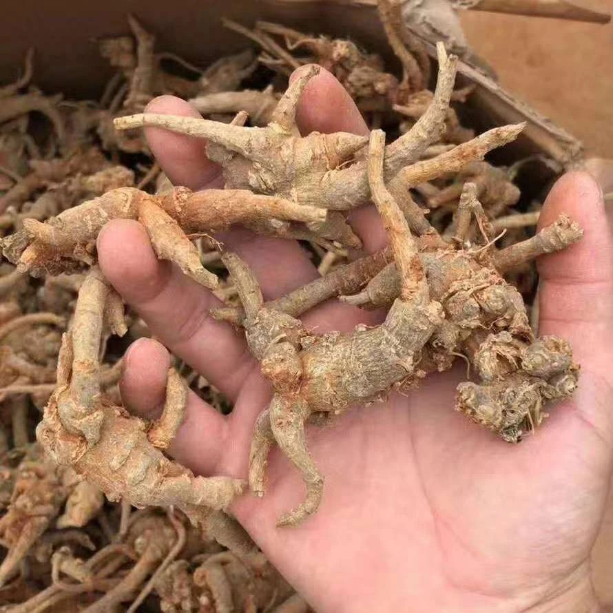 云南山货  （//全//枝//三//七//） 现收现发  非   黑豆