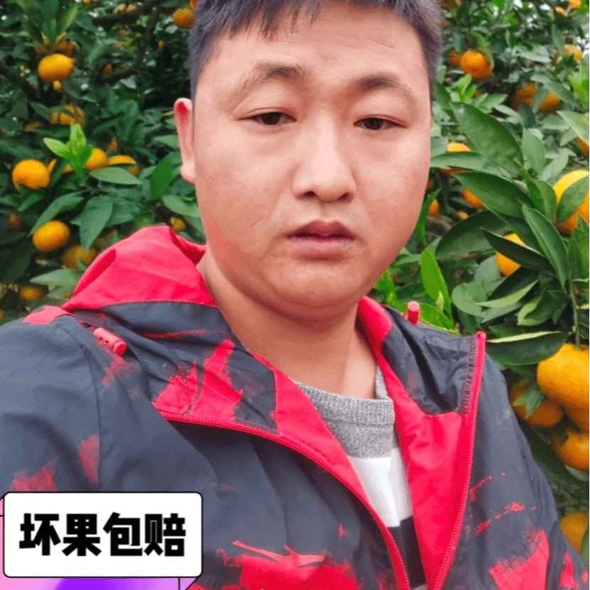 宫川柑橘桔现摘当季新鲜橘子批发薄皮无籽应季青皮自家果园