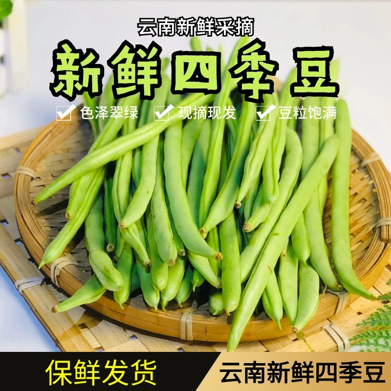 农家自种新鲜应季蔬菜四季豆新鲜现摘豆子3斤5斤装包邮