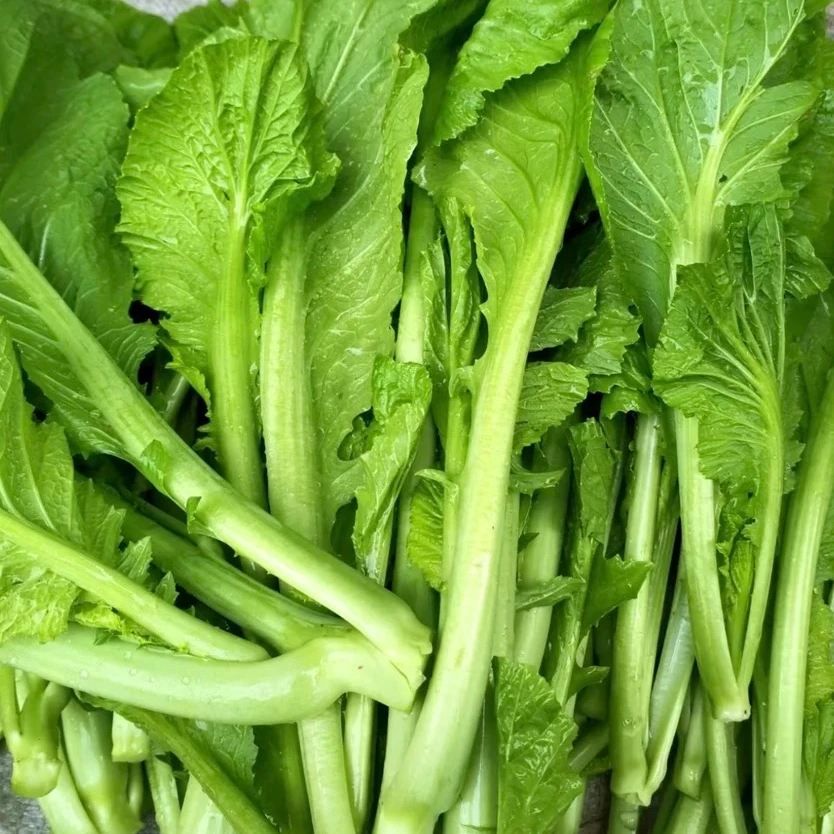 芥菜 绿色有机不打农药蔬菜新鲜芥菜会有虫洞 1斤规格