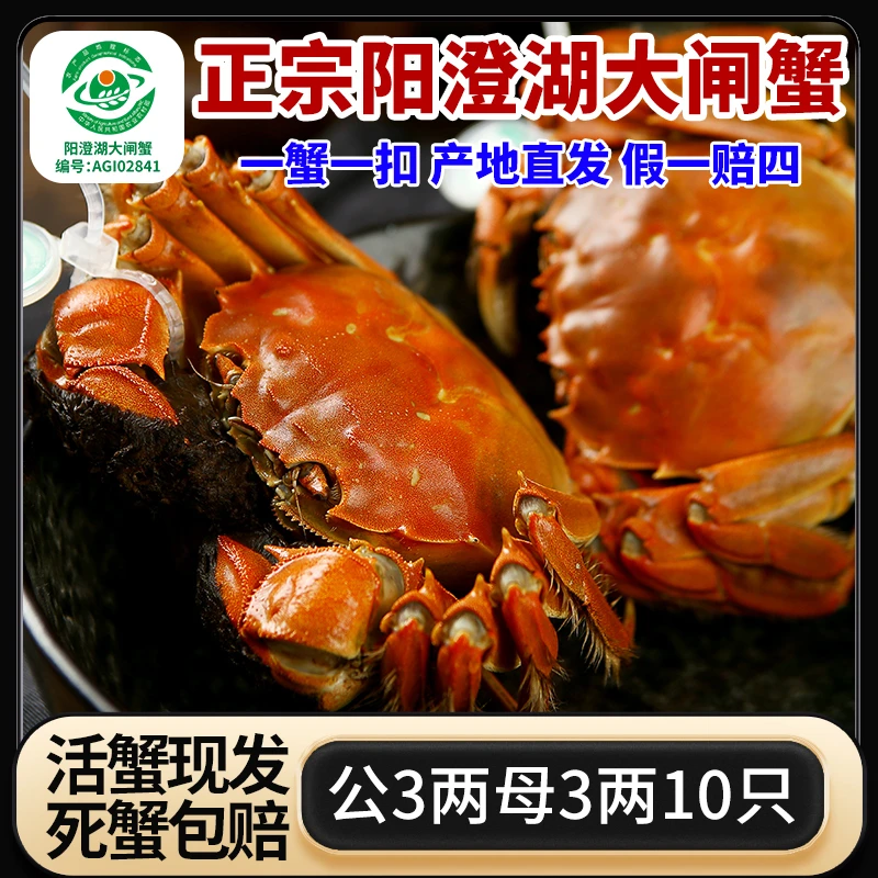 【阳澄湖大闸蟹】公3两母3两10只高标准塘养金标蟹鲜活现捞包邮礼盒