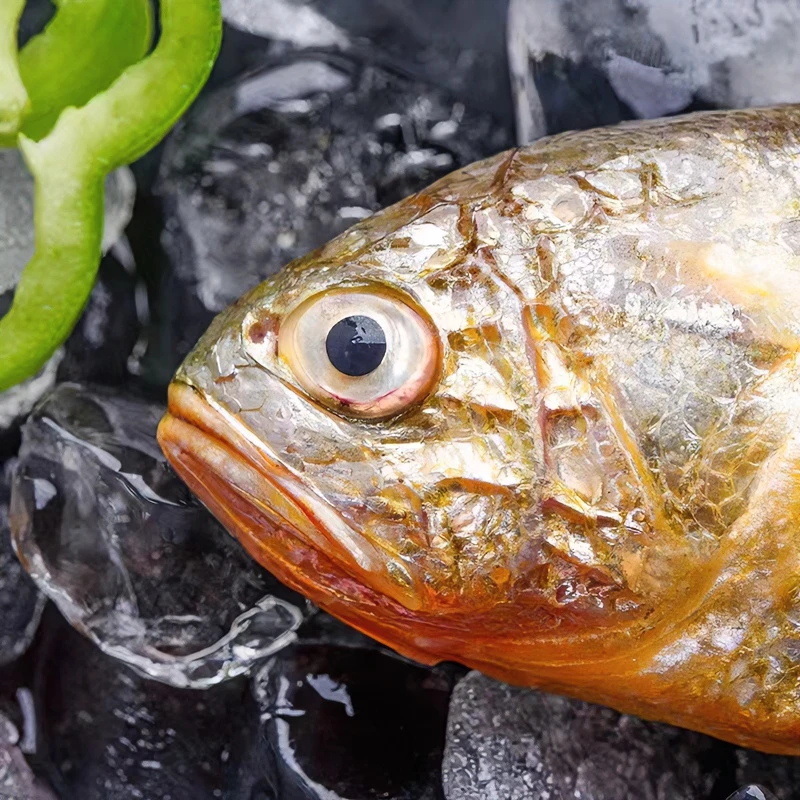 东海野生小黄鱼深海鱼12条装/斤舟山海岛冷冻发货