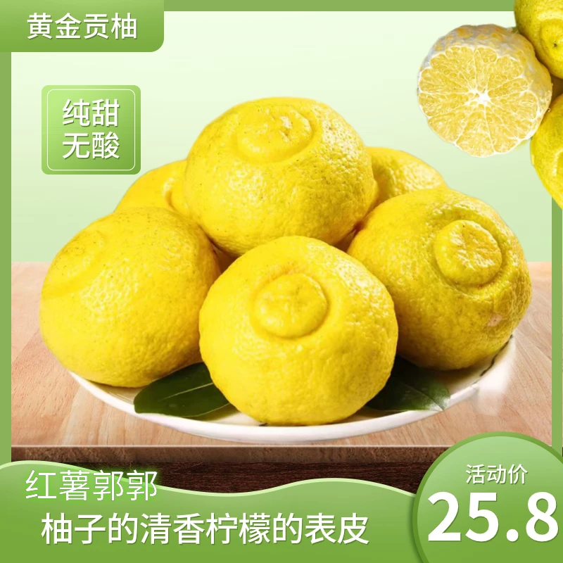 湖南怀化黄金贡柚新鲜水果5/9斤包邮多汁饱满天然美味纯甜无酸