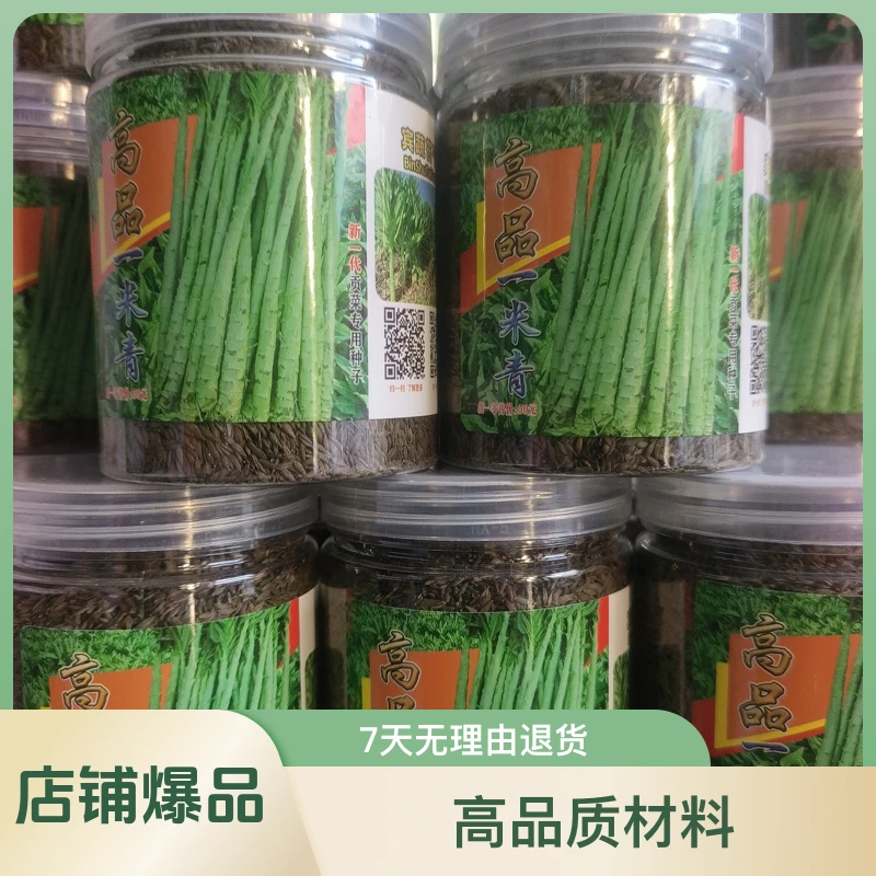 高品贡菜种子，正规厂家生产，质量保证