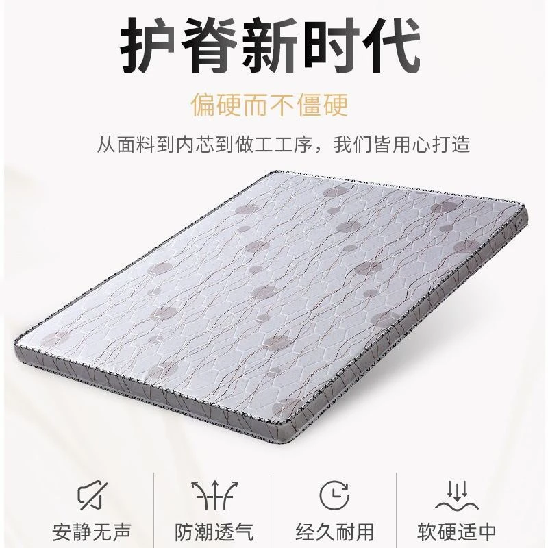 床垫椰棕护脊椎席梦思薄经济型偏榻榻米棕垫床垫定做尺寸任意两用