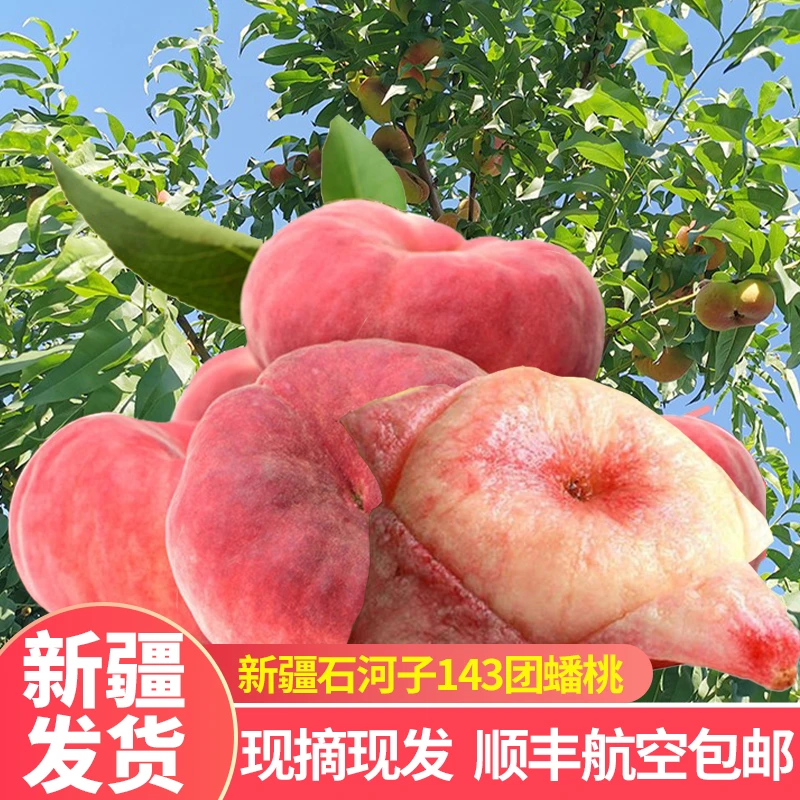 中秋送礼新疆石河子蟠桃水果新鲜黄蟠桃白肉整箱扁毛桃空运5斤