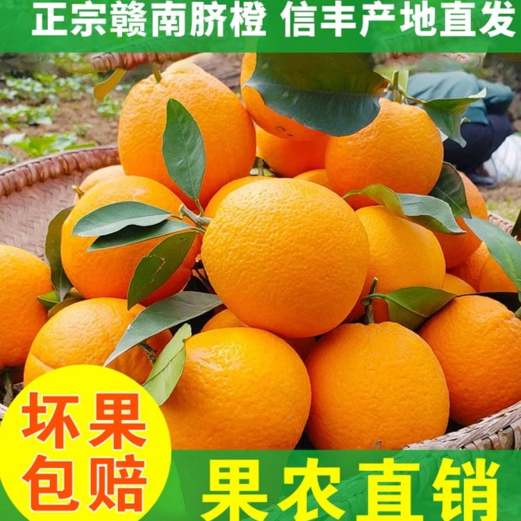 京东快递赣南信丰脐橙果园现摘现发