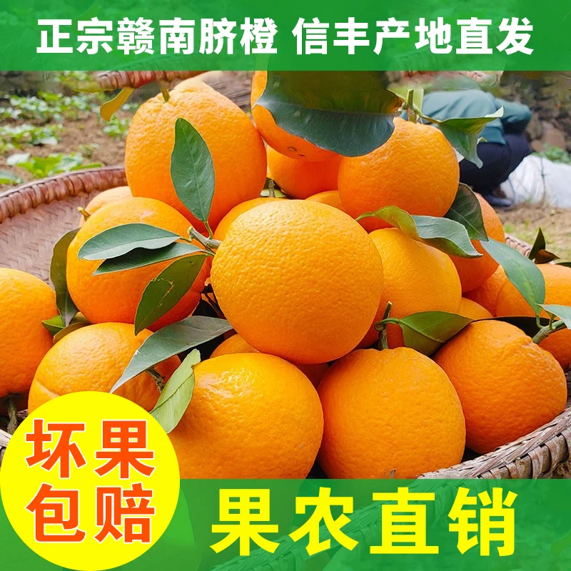 喜茹姐正宗赣南脐橙信丰橙子孕妇水果赣州信丰果园现摘直发