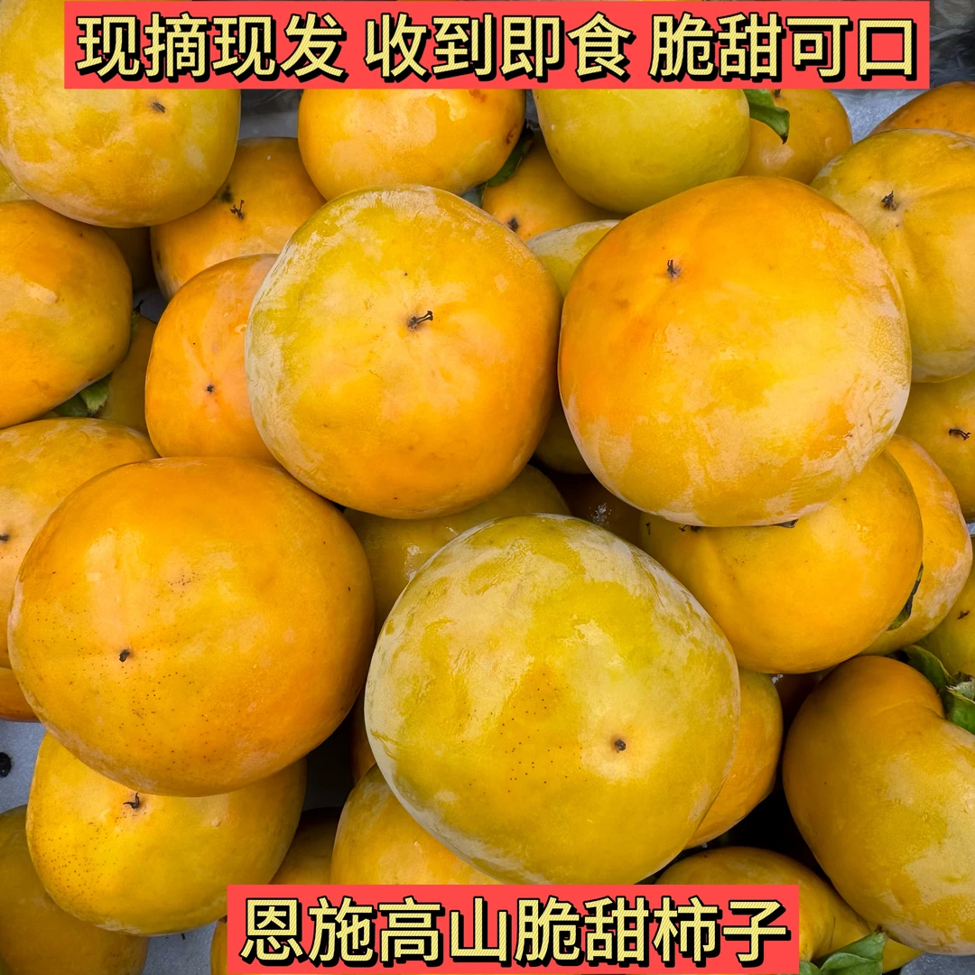高山自然成熟脆甜柿子个大饱满不涩口不麻口自然成熟不打农药5斤