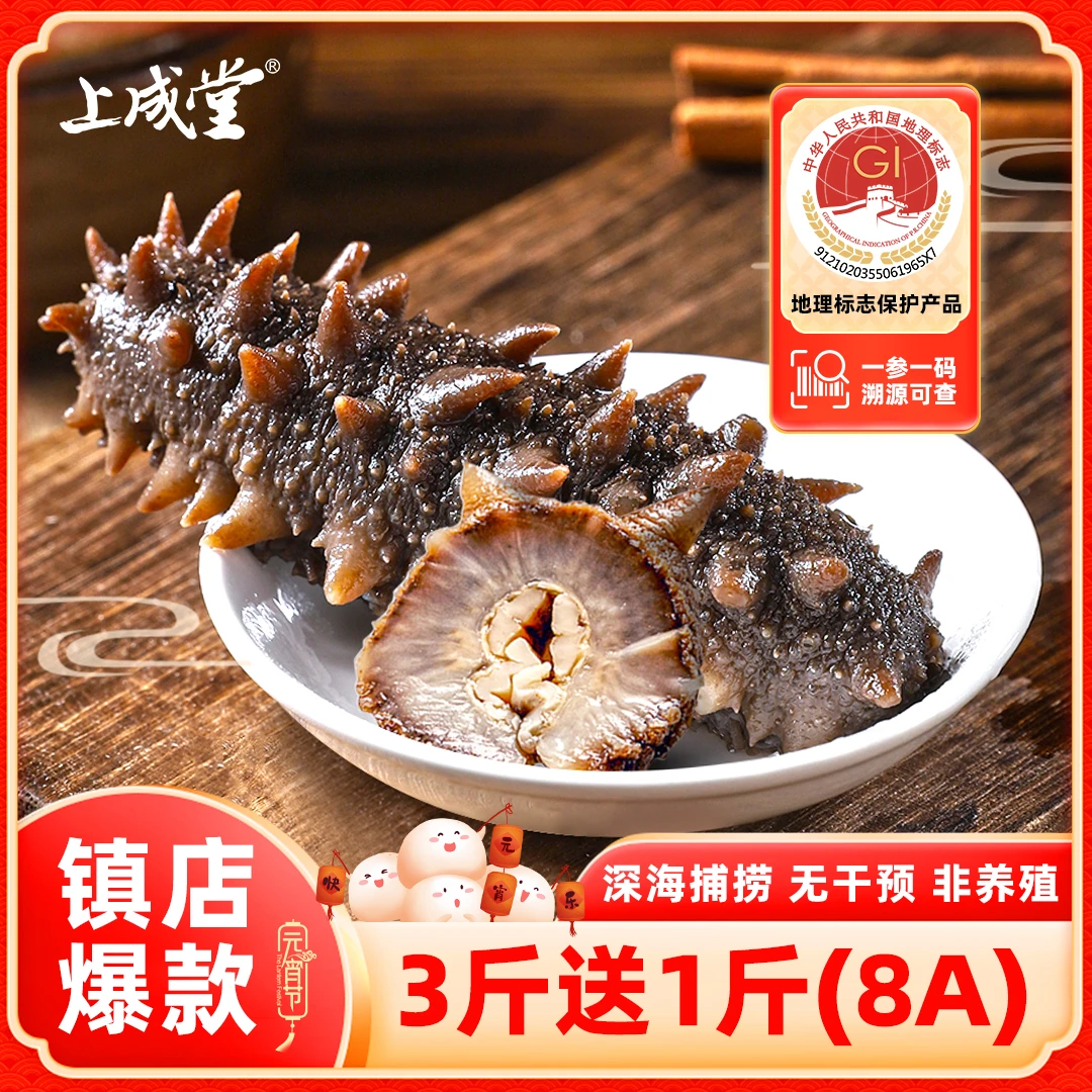 上成堂买3斤送1斤【开春特价】鲜食海参大连底播辽刺参1500g 5-6头
