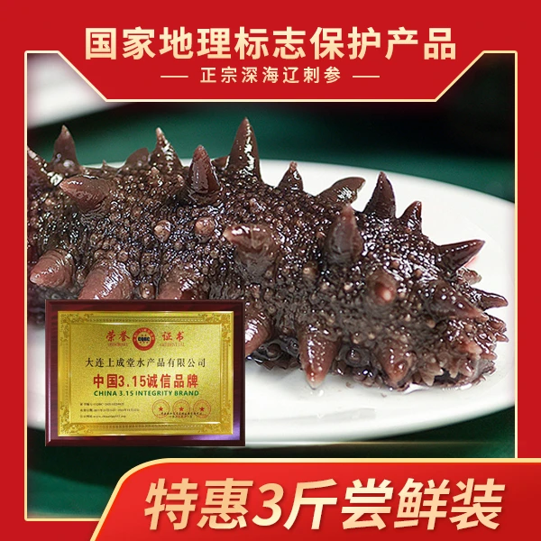 上成堂鲜食即食海参 正宗大连深海底播辽刺参  三斤热销装劲道