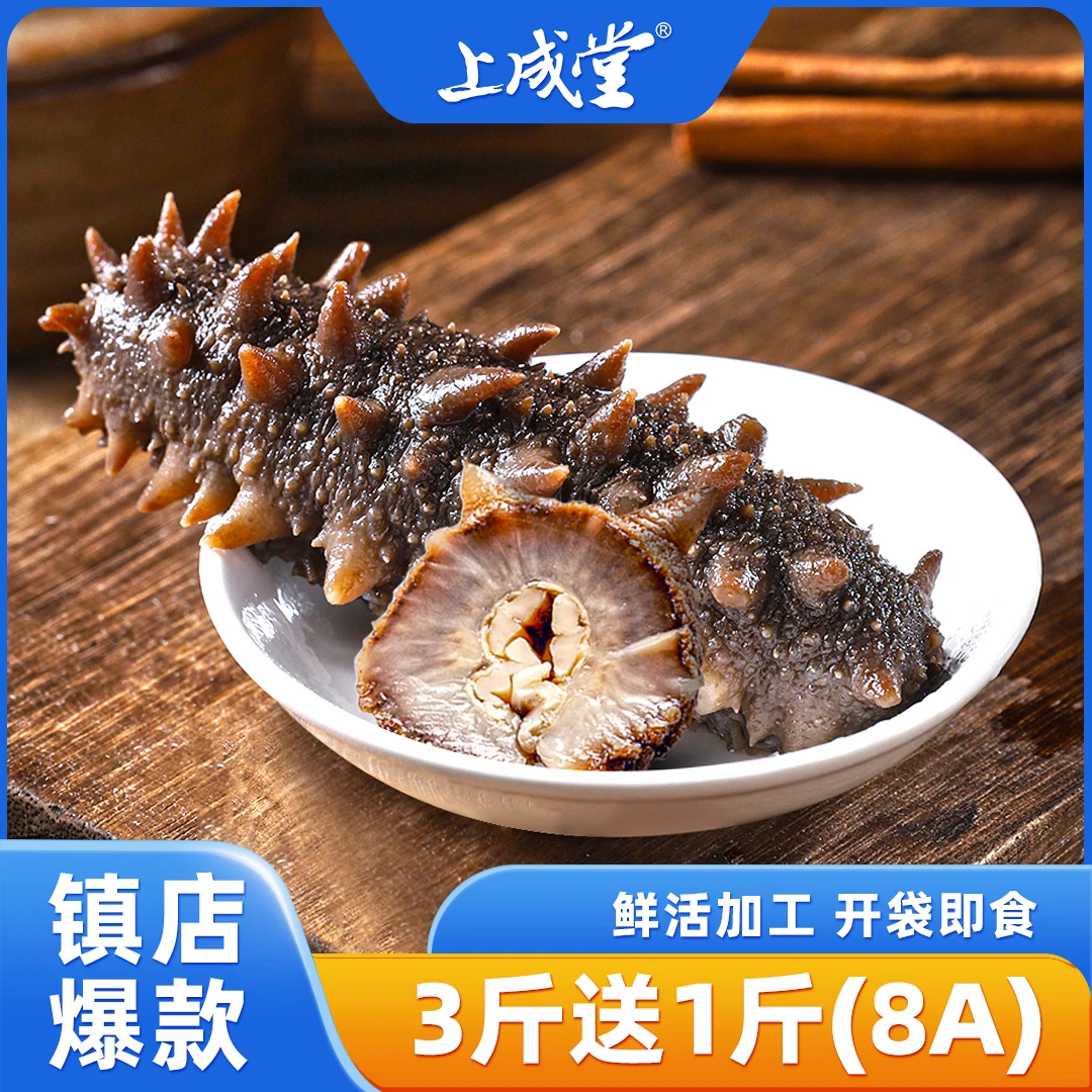 上成堂大连鲜食即食海参买3斤送1斤【立冬进补】开袋即食 5-6头/斤