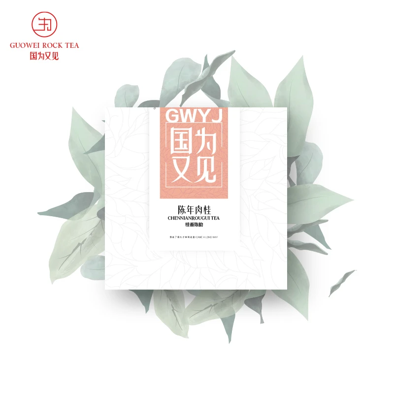 新品国为又见陈年肉桂100g独立12泡装武夷岩茶武夷肉桂茶叶乌龙茶
