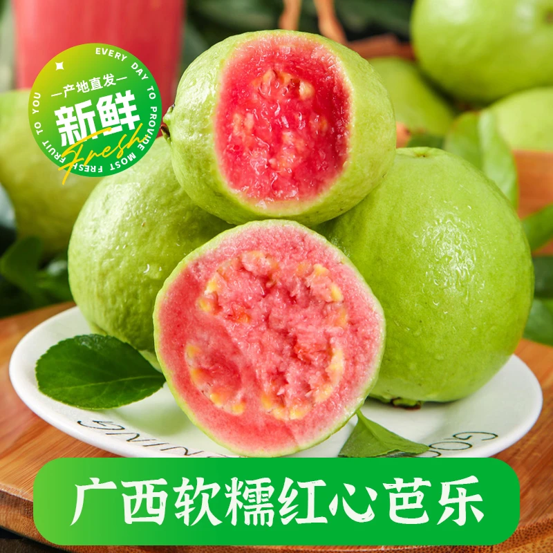广西正宗红心软芭乐水果红肉番石榴树上熟放软吃更好产地直发顺丰