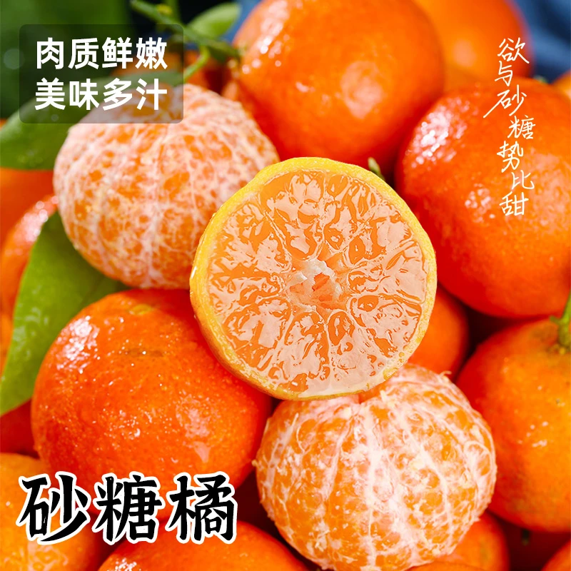 正宗广西砂糖橘小砂糖橘新鲜采摘现摘发货香甜橘沙糖桔子新鲜水果