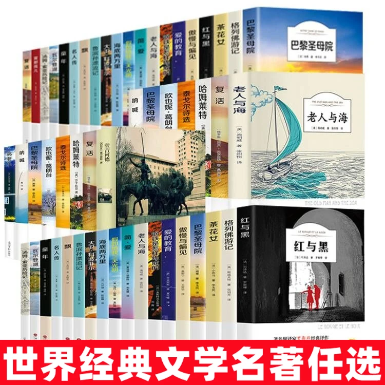 正版傲慢与偏见柳林风声小王子巴黎圣母老人与海昆虫记世界名著书