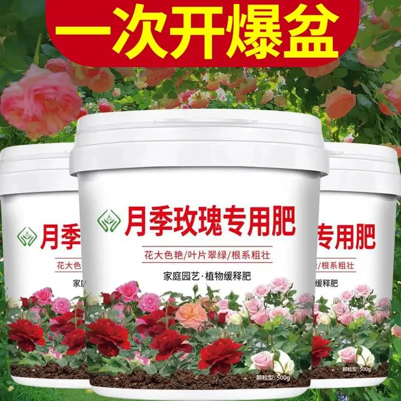 【月季花玫瑰花专用花肥】延长花期生根壮苗不伤根营养颗粒缓释肥
