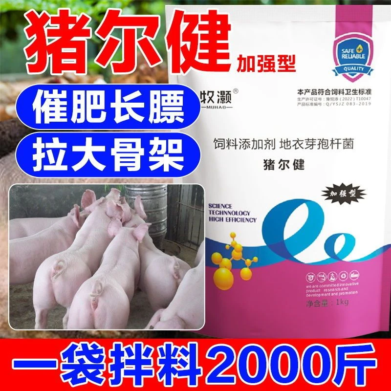 猪尓健兽用预混料猪用快速催肥剂日长猪儿健强力生长素猛张精养殖
