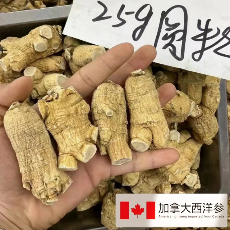 正宗加拿大进口西洋参25克粒头加拿大花旗参25克粒头整枝切片