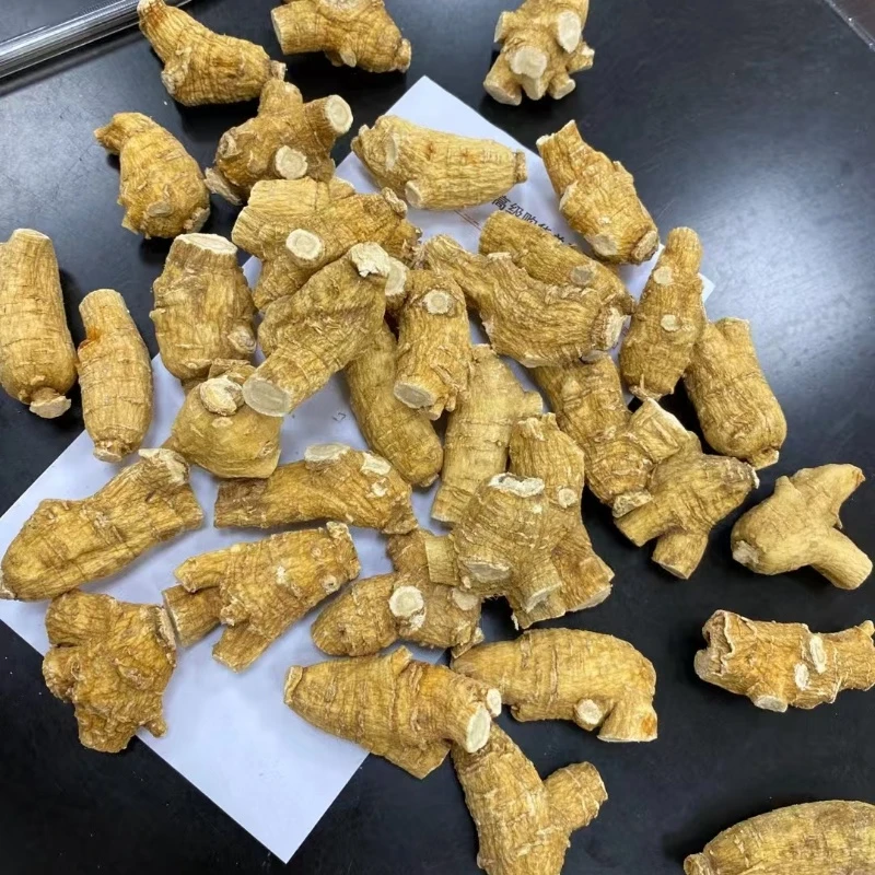 正宗加拿大西洋参7克粒头