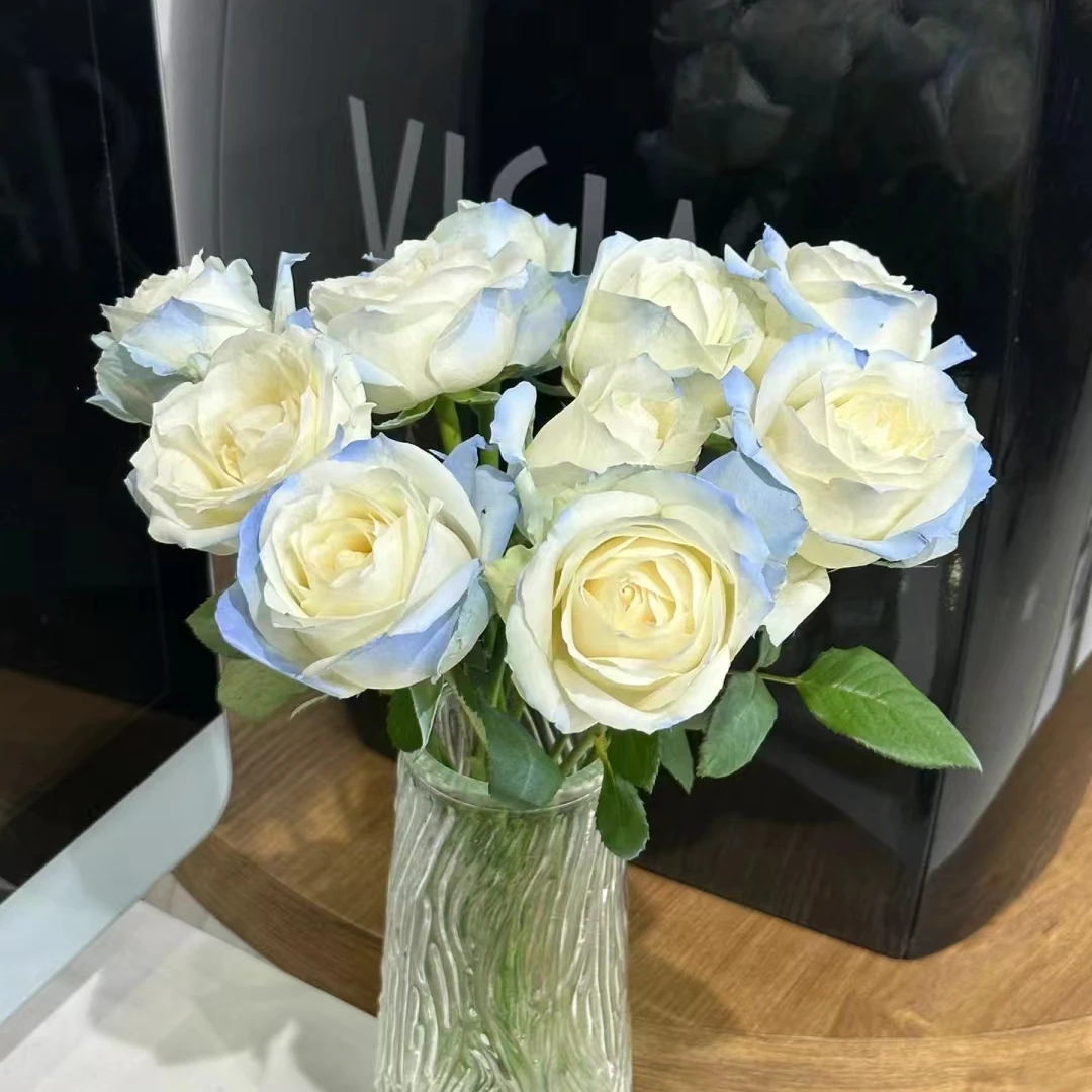 【鑫悦花坊】碎冰蓝喷色玫瑰 高冷之选