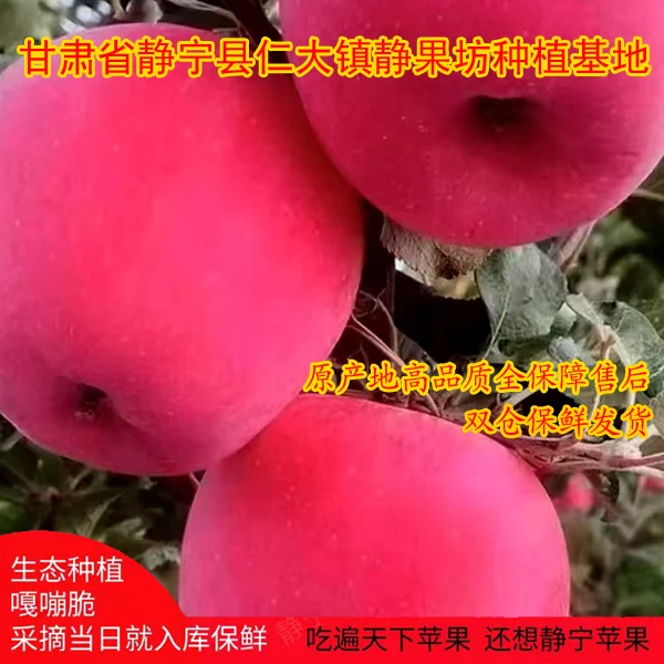 静宁仁大镇晚熟红富士苹果高端礼盒装