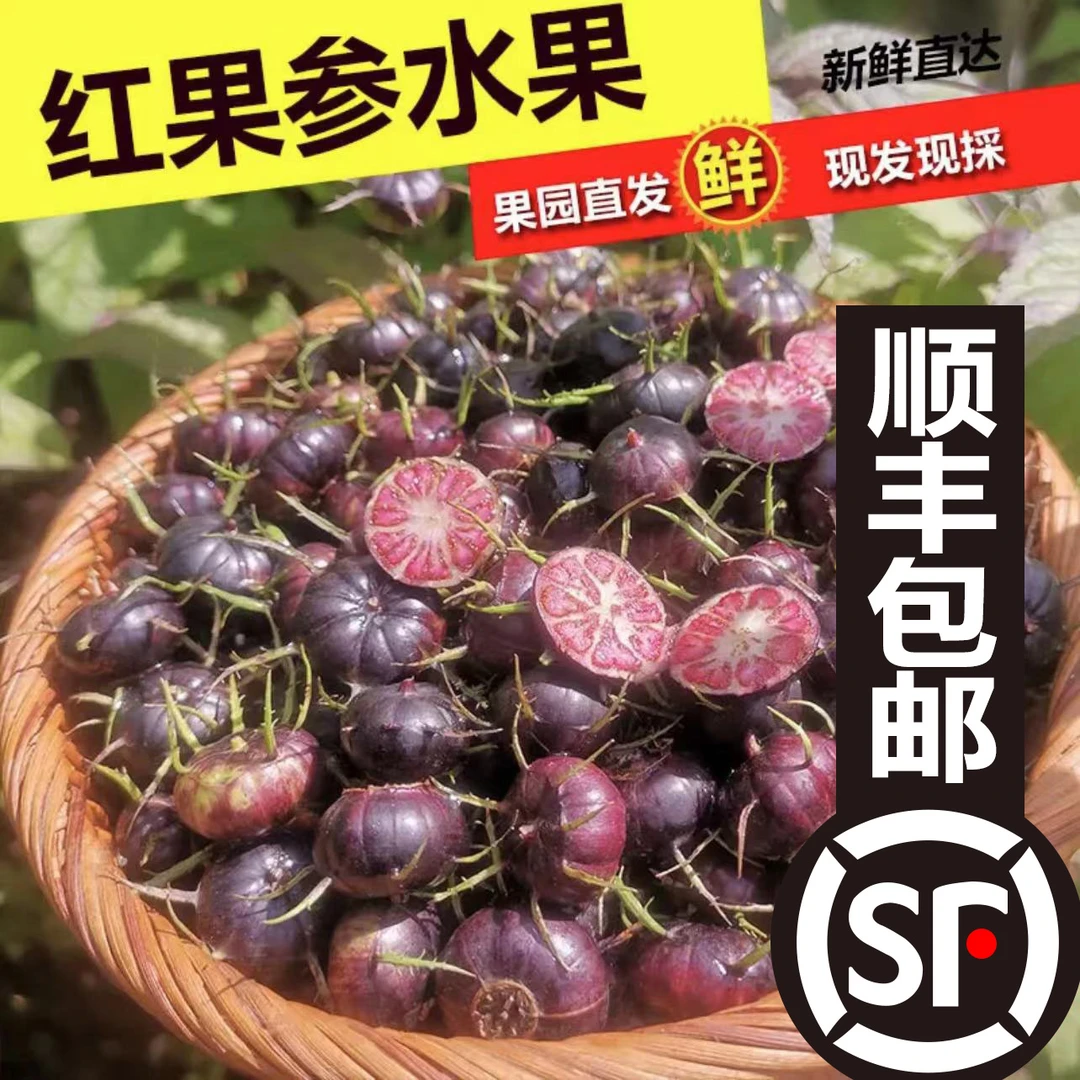 产地直发稀有水果红果参