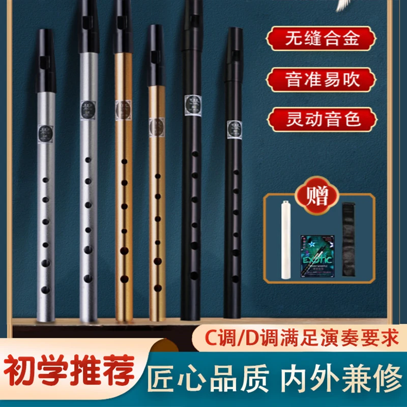 爱尔兰哨笛6孔专业演奏级成人儿童初学者cdg调竖笛直笛子古风乐器