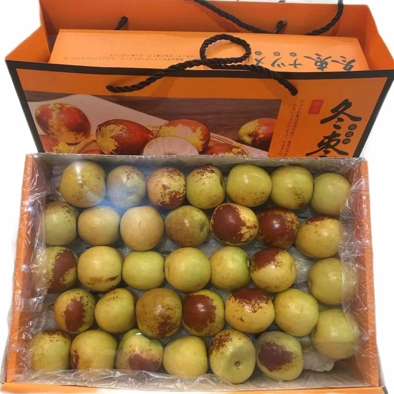 冬枣礼盒2.5斤（包装随机）