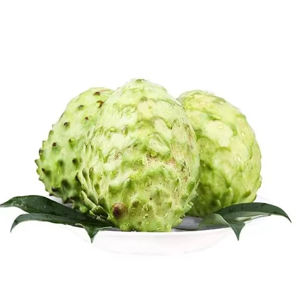 宝宝凤梨释迦约500g/份