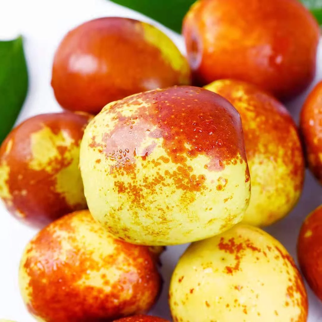 【新鲜尝鲜】大荔冬枣约400g/份