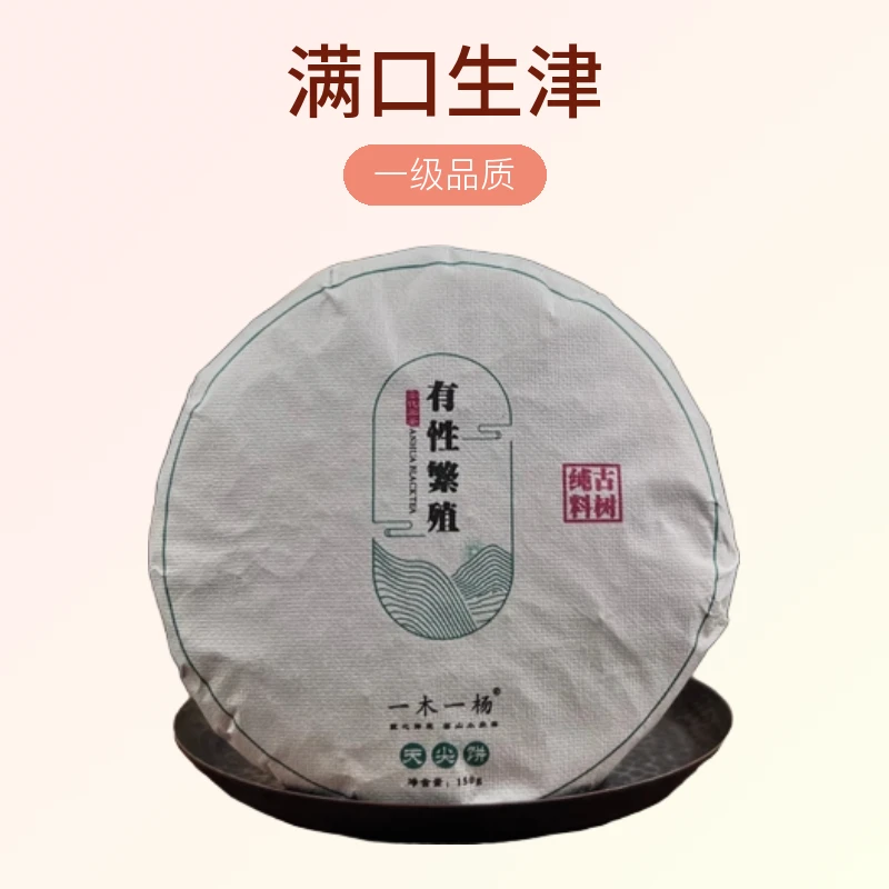 安化黑茶木杨界天尖饼体感明显满口生津持久湖南黑茶清凉感突出，