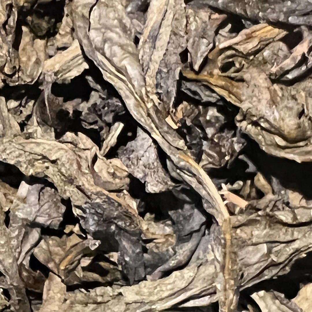 安化黑茶木杨界  虎皮  2018荒野原叶