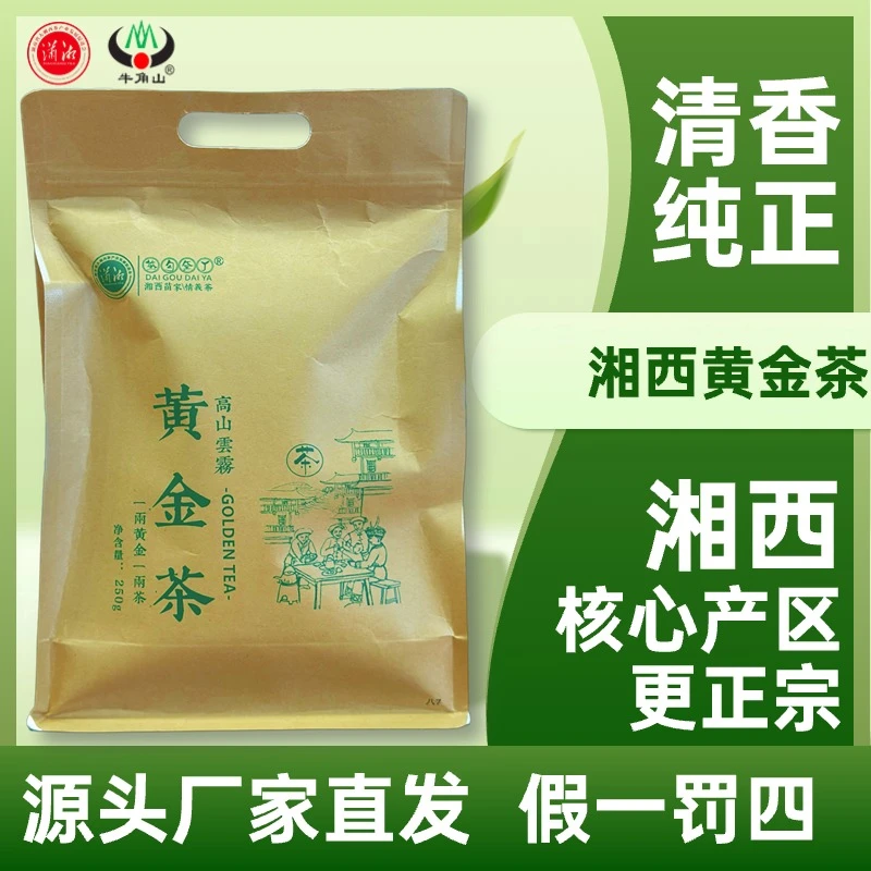 黄金二两·湘西黄金茶 2024年新茶春茶高山茶