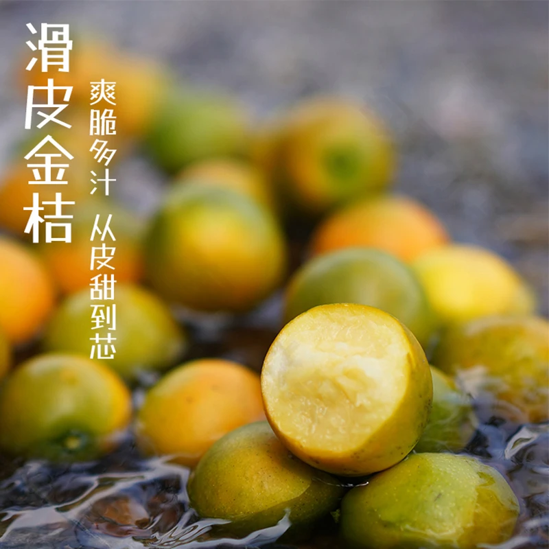 广西融安滑皮小金桔正宗当季新鲜时令糖豆水果纯甜现摘现发1-5斤