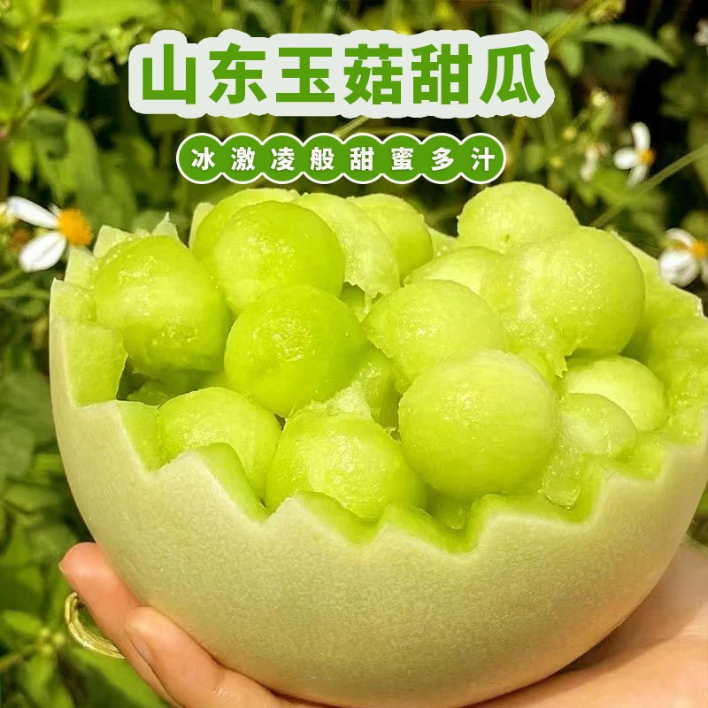 山东玉菇甜瓜【4.5-5斤】当季新鲜水果冰激淋甜瓜【带勺子】z