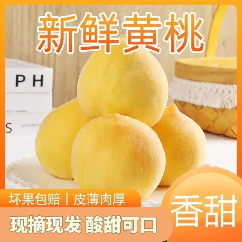 【产地直发】山东蒙阴应季黄桃新鲜黄金毛桃皮薄多汁软硬两吃