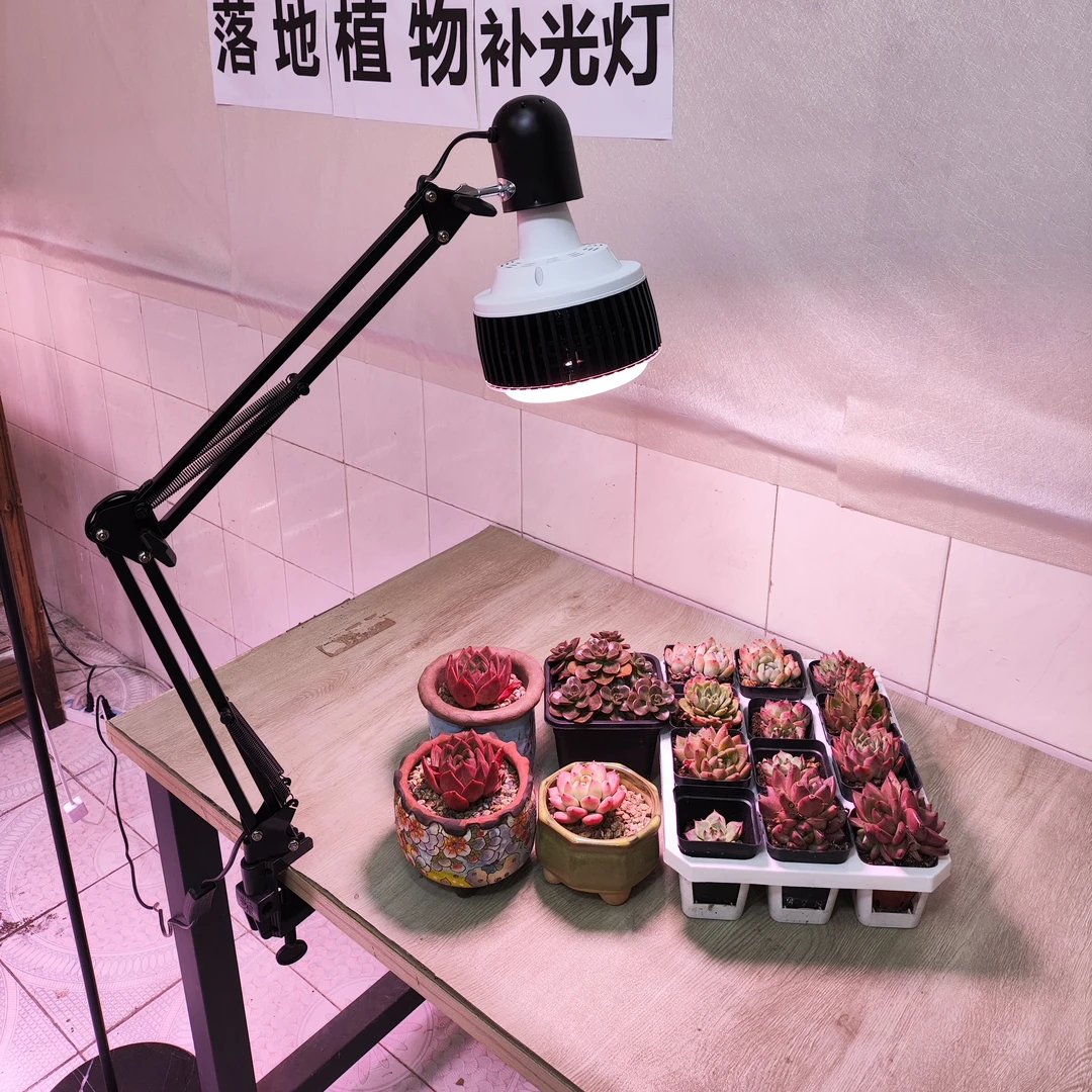 多肉补光灯全光谱上色防徒长太阳灯植物补光灯