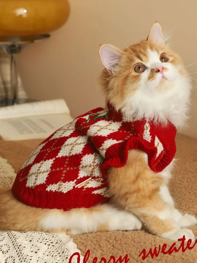 猫咪衣服冬天毛衣猫猫布偶渐层可爱宠物冬季秋冬款小猫防掉毛秋装