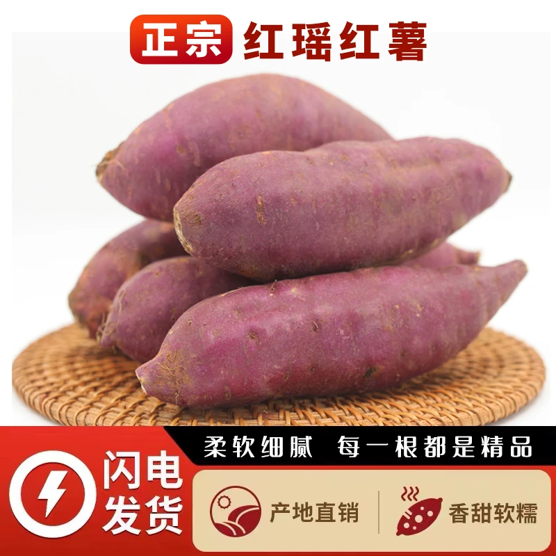 红瑶番薯日本番薯品甜美柔软细腻新鲜地瓜无丝无根产地直发礼盒装