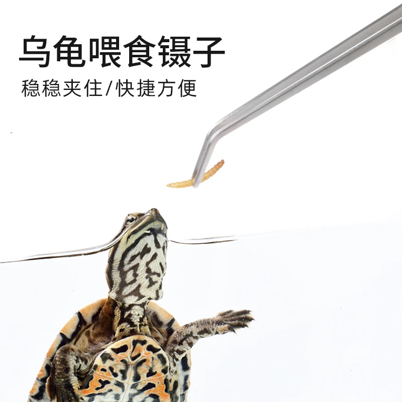 乌龟喂食镊子加长款夹子鱼缸水草直夹清理工具弯夹蜥蜴喂药镊子