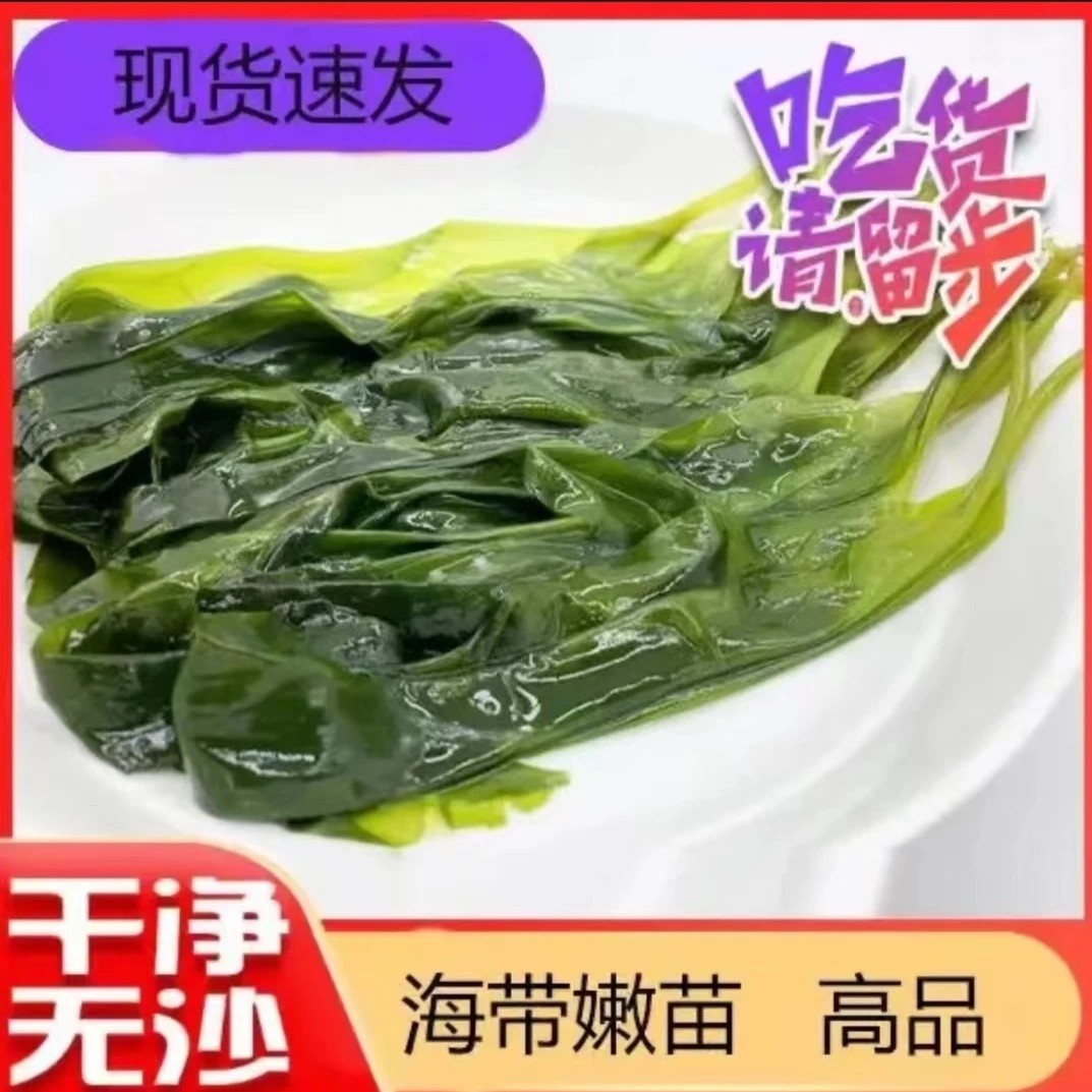 【2包起更划算】福建霞浦鲜嫩海带苗汤火锅凉拌营养海菜500g/袋
