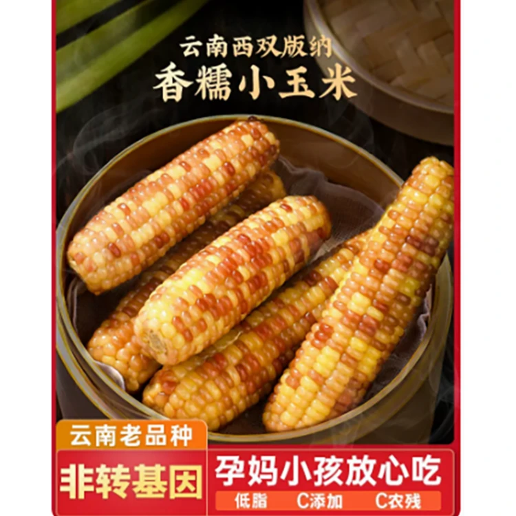 【达人专属】西双版纳老品种精品花糯玉米农产品普通装