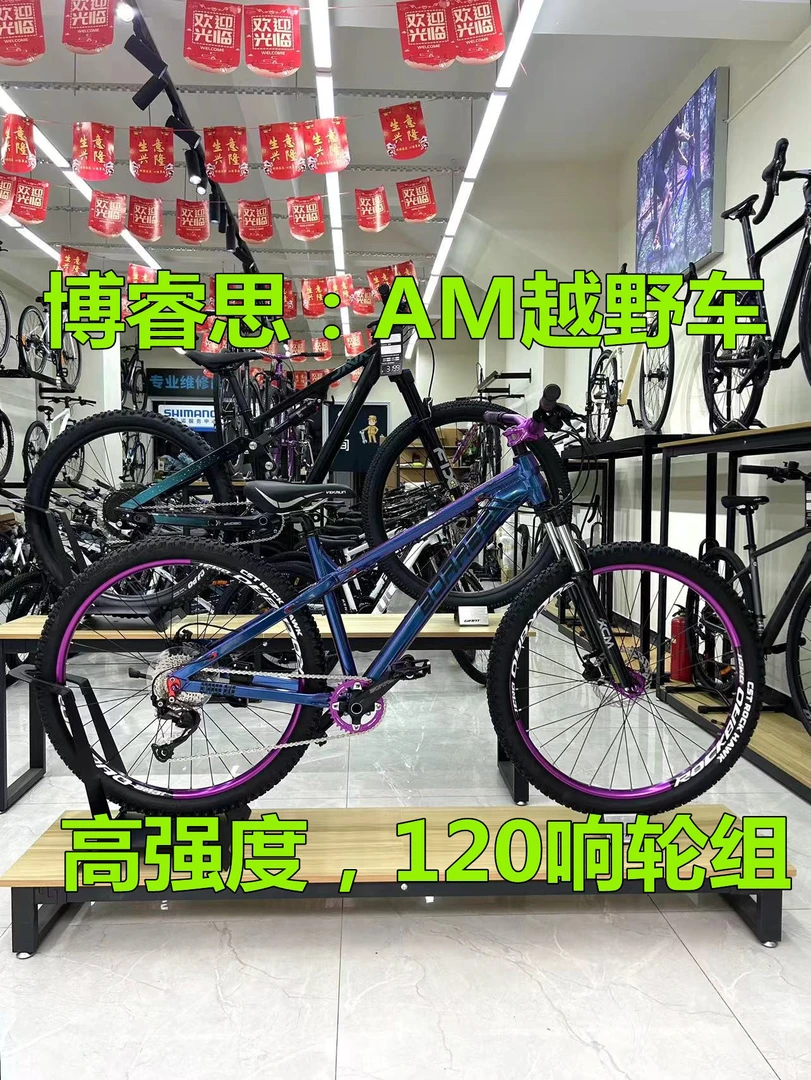 BOARSE博睿思博瑞思整车 山地车 26 27.5轮径 越野硬尾AM