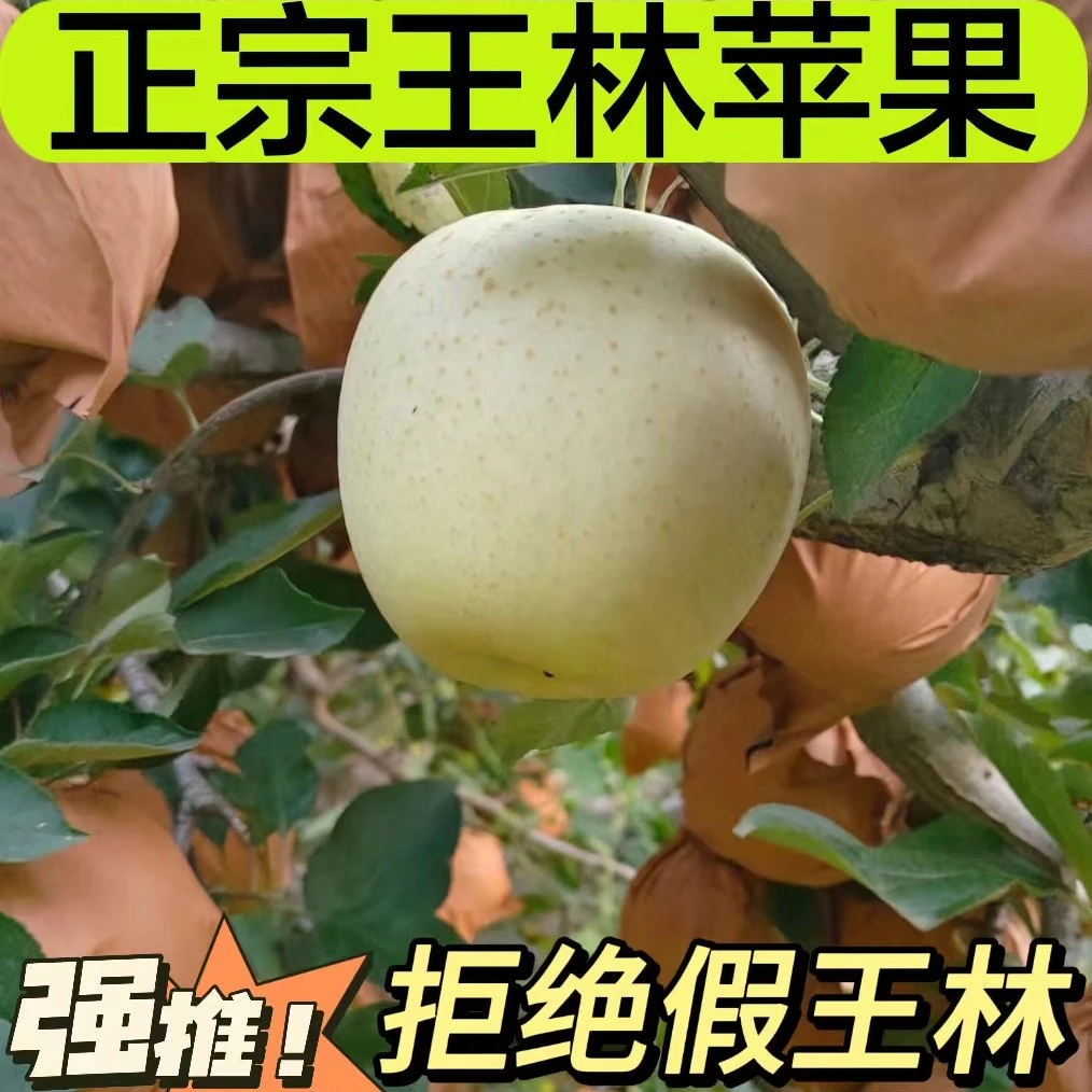 【新店优惠多多】正宗王林苹果3-9斤香甜多汁果香浓郁青森雀斑美人