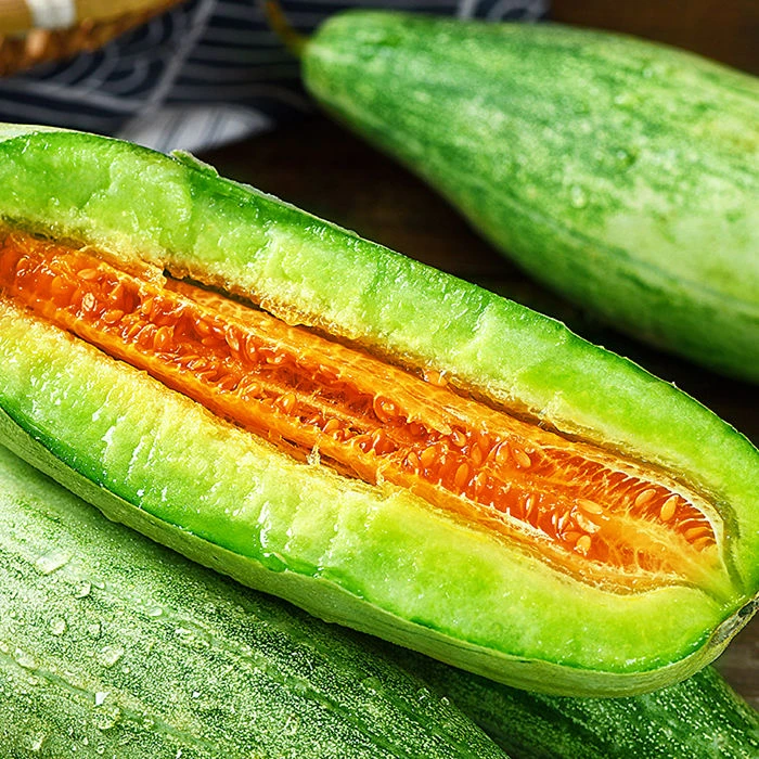 【新店优惠】正宗山东头茬羊角蜜3/5斤甜瓜博洋5香瓜蜜瓜脆甜